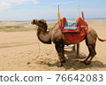 Tottori sand dunes and camels 76642083