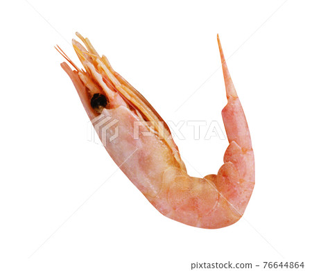 Fresh cooked shrimp isolated on white 76644864