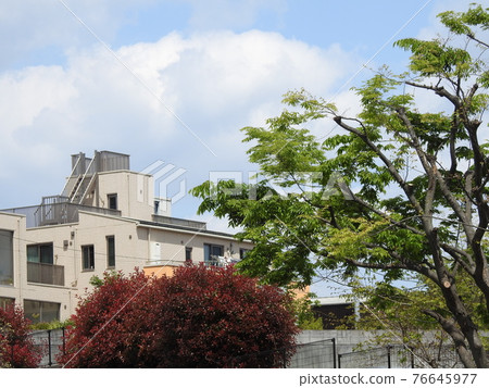 It's a peaceful landscape! .. .. Be calm! .. .. Thank you! (Laughter) 76645977