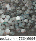 3d rendering of the brain  human  76646996