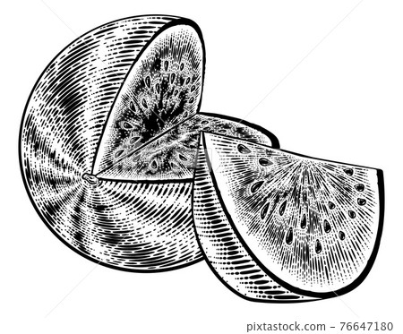 Watermelon Vintage Woodcut Engraved Style Drawing 76647180