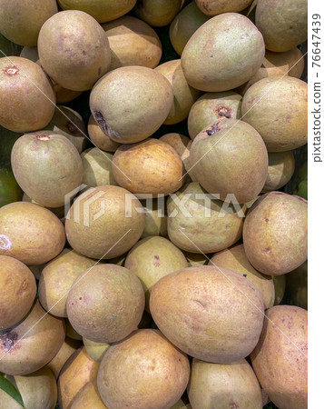 Heap of ripe Sapodilla fruit at tropical fruit store Heap of ripe Sapodilla fruit at tropical fruit store 76647439