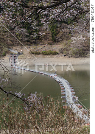 Tomeura Ukibashi 在奧多摩湖上的春天景色 76648147