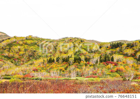Tsugaike自然公園秋葉 76648151