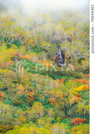 Autumn leaves of Tsugaike Nature Park 76648465