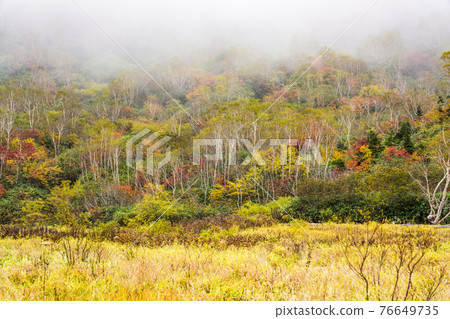 Autumn leaves of Tsugaike Nature Park 76649735
