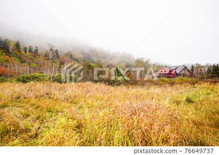 Autumn leaves of Tsugaike Nature Park 76649737