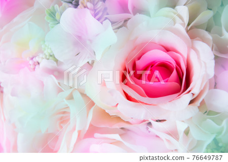 pink rose beautiful flowers 76649787