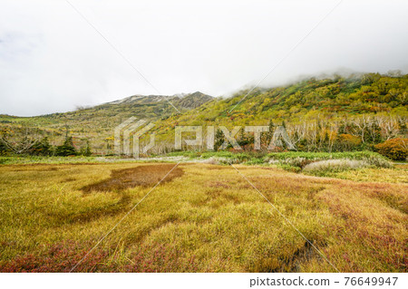 Autumn leaves of Tsugaike Nature Park 76649947