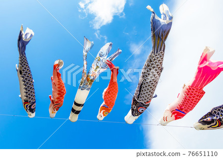 Hanedani Dandan Park, swimming carp streamer <Kaizu City, Gifu Prefecture> Hanedani Dandan Park, swimming carp streamer <Kaizu City, Gifu Prefecture> 76651110