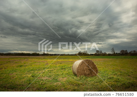 A hay bale lying in a meadow on a cloudy day 76651580