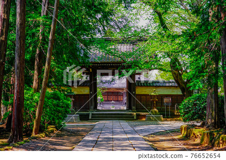 與江戶先生有關的慶源寺（世田谷區）、參道盡頭的正殿和山門 76652654