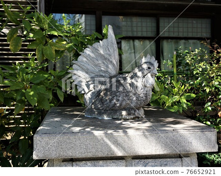 高知台神社 Yosakoi Inari 神社雞石像,守護雞了 高知台神社 Yosakoi Inari 神社雞石像,守護雞了 76652921