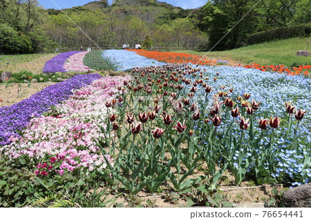 山口縣下關市土耳其鬱金香園火山公園 山口縣下關市土耳其鬱金香園火山公園 76654441