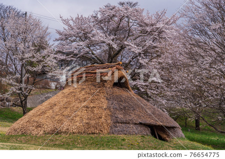 ■ (Nagano Prefecture) Idojiri Ruins When the cherry blossoms bloom 76654775