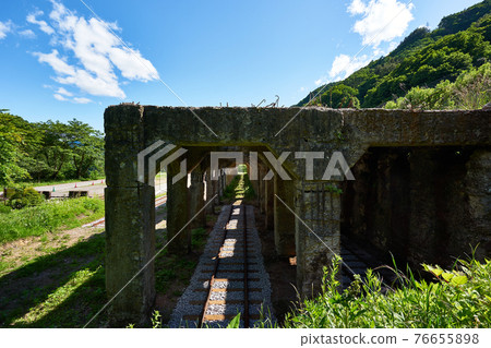 Gunma Prefecture JNR Agatsuma Line Oshi Station Hopper Remains 76655898