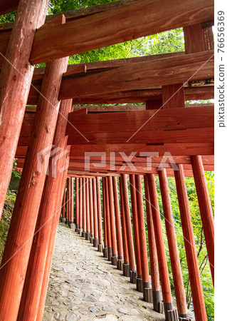 Rows of torii gates 76656369