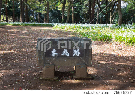 Ishigakiyama Ichiya Castle / Honmaru Ruins 76656757