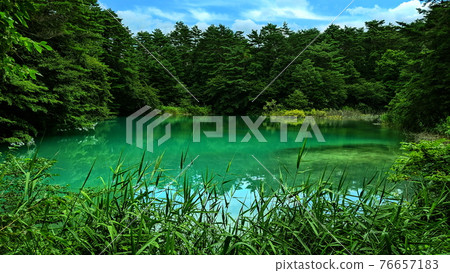 【福島縣】五色沼 【福島縣】五色沼 76657183