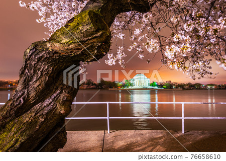 Washington, DC at the Jefferson Memorial during spring 76658610