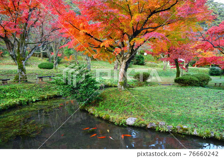 Autumn leaves of Muramatsu park (Niigata) 76660242