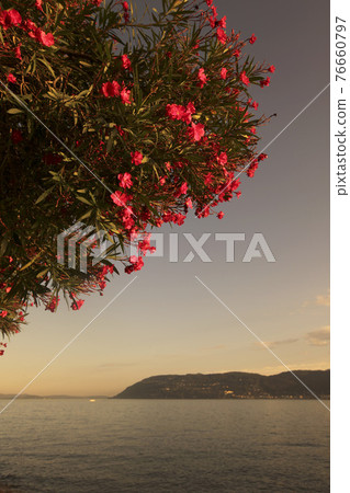 ITALY PIEMONT LAGO MAGGIORE ITALY PIEMONT LAGO MAGGIORE 76660797