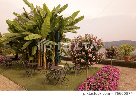 ITALY PIEMONT LAGO MAGGIORE 76660874