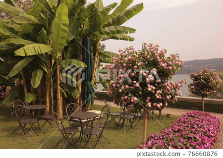 ITALY PIEMONT LAGO MAGGIORE 76660876