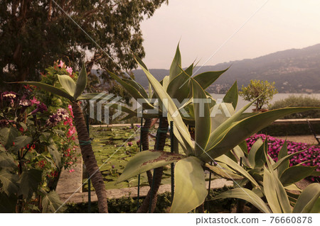 ITALY PIEMONT LAGO MAGGIORE 76660878