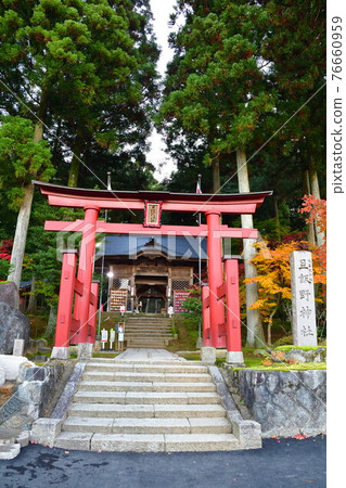 Autumn leaves of Asaino Shrine (Niigata Prefecture) 76660959
