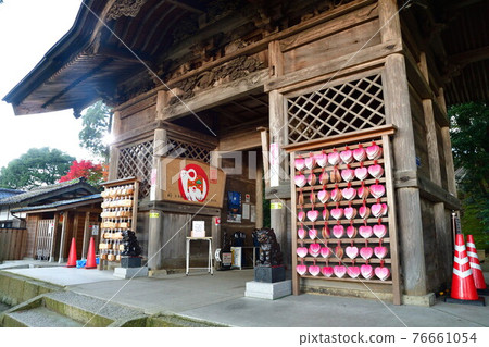 淺野神社的秋葉(新潟縣) 淺野神社的秋葉(新潟縣) 76661054