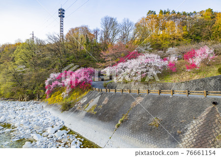 Hanamomo full bloom daytime god hot spring 76661154