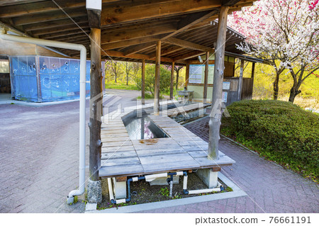 Hanamomo full bloom daytime god hot spring Hanamomo full bloom daytime god hot spring 76661191