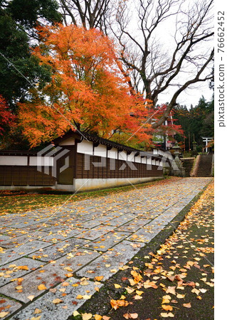 Oumi Shrine in autumn colors (Niigata Prefecture) Oumi Shrine in autumn colors (Niigata Prefecture) 76662452
