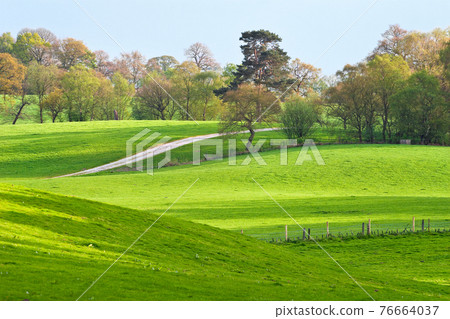 A rural landscape of green fields 76664037
