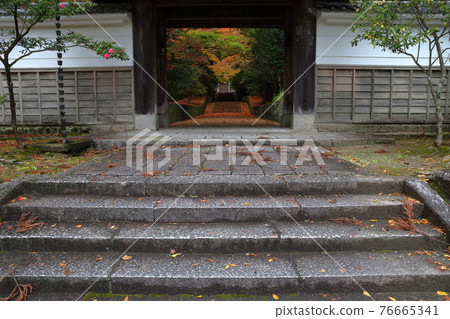 Sanmon during the fall foliage season (Unkou-ji Temple, Seto City, Aichi Prefecture) 76665341