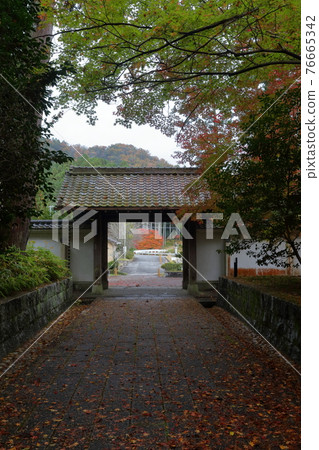 Sanmon during the fall foliage season (Unkou-ji Temple, Seto City, Aichi Prefecture) Sanmon during the fall foliage season (Unkou-ji Temple, Seto City, Aichi Prefecture) 76665342