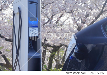 Charging plug-in hybrid vehicle and Sakura Charging plug-in hybrid vehicle and Sakura 76665497