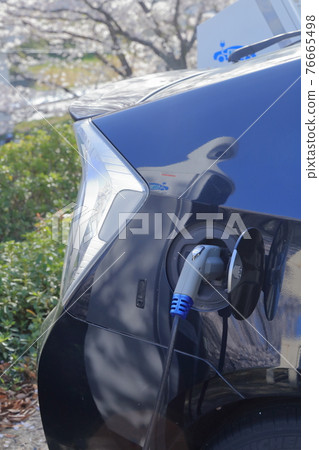 在櫻花前的充電站給插電式混合動力車充電 在櫻花前的充電站給插電式混合動力車充電 76665498