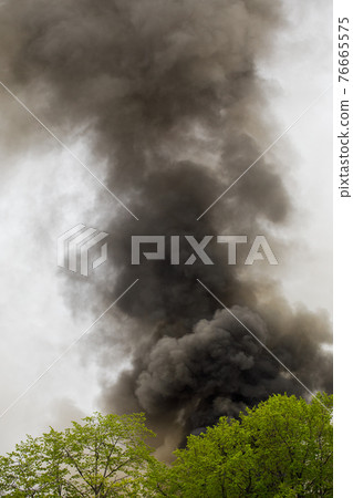 black smoke trail of forest fire black smoke trail of forest fire 76665575