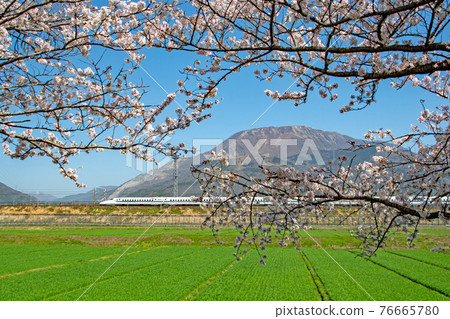 The Tokaido Shinkansen that runs at the foot of Mt. Ibuki in full bloom under the blue sky The Tokaido Shinkansen that runs at the foot of Mt. Ibuki in full bloom under the blue sky 76665780