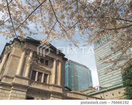 Bank of Japan and Sakura Bank of Japan and Sakura 76666192
