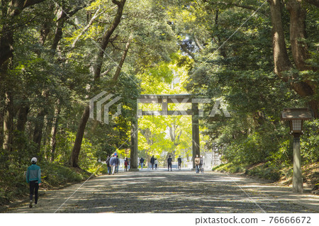 Meiji Jingu Kitasando Meiji Jingu Kitasando 76666672