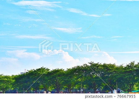 夏日藍天、雲彩和樹木 夏日藍天、雲彩和樹木 76667955