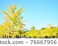 Blue sky and trees 76667956