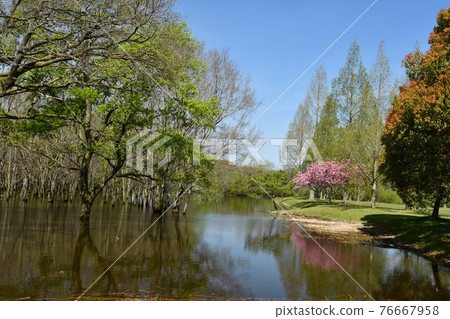 The arrival of spring on the surface of the lake 76667958