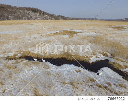Aerial view, Kushiro Wetland and Japanese crane in winter (Shibecha Town, Hokkaido) 76668012