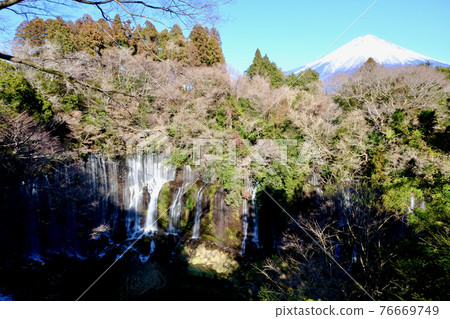 [Yamanashi] Shiraito Falls and Mt. Fuji (winter) 76669749
