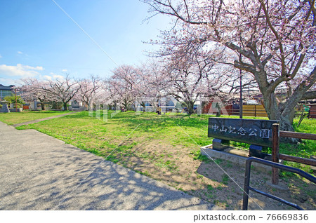 福岡縣行橋市賞櫻勝地中山紀念公園 照片素材 圖片 圖庫