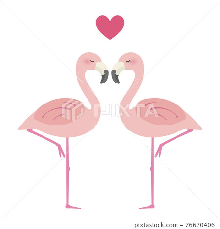 兩隻火烈鳥依偎在一起，出現一個心形符號。愛情形象的插圖 76670406